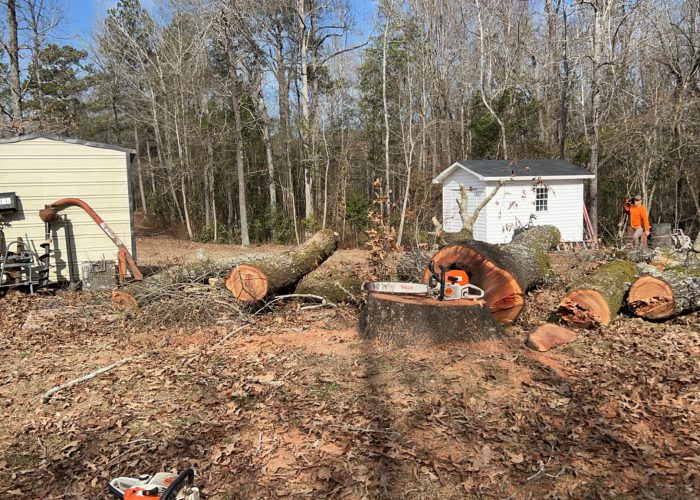 stump grinding graniteville, sc